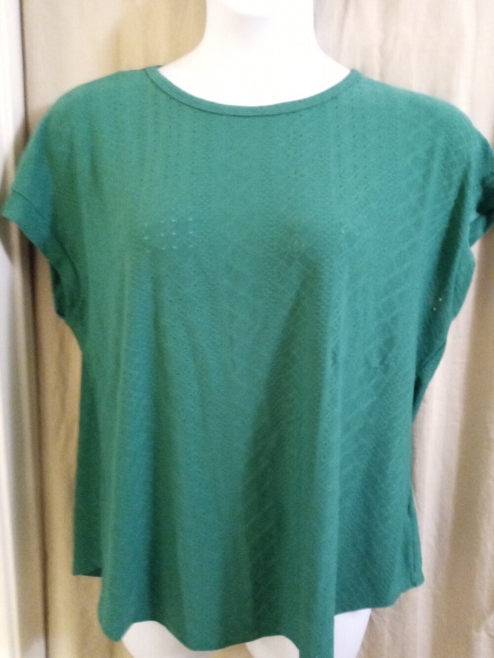 Xieerduo Grass Green Women's 2XL Short sleeve Tunic Tee